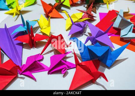 Multi-couleur sous la forme d'origami cranes sur la table. Symbole d'Origami.Color grues de papier de l'origami de papier. Banque D'Images