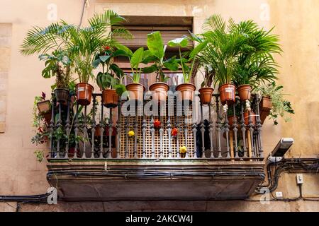 Balcon typique dans un bloc d'appartement en centre ville, Bacelona, Espagne. Plantes en pot suspendu sur la balustrade. Banque D'Images