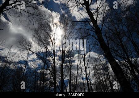 Les silhouettes d'arbres au début du printemps illuminent les rayons du soleil derrière les nuages. Beau paysage de printemps. Le concept de printemps. Banque D'Images