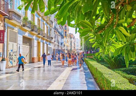 MALAGA, ESPAGNE - 26 septembre 2019 : La vue sur la rue à travers la foule Cister de verdure le jardin de la cathédrale, le 26 septembre à Malaga Banque D'Images