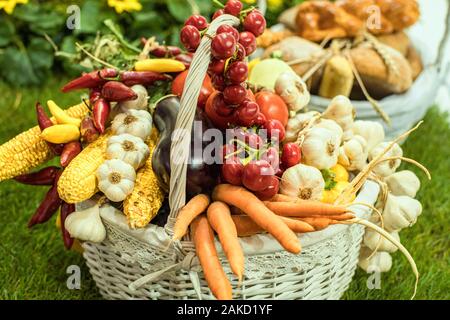 Les agriculteurs main tenant un panier avec des produits de saison, panier plein de produits d'automne, agricole et forestier.aussi panier plein de produits. Banque D'Images