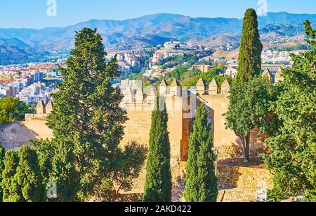 Le grand rempart de briques château du Gibralfaro est caché derrière les grands arbres du parc, Malaga, Espagne Banque D'Images