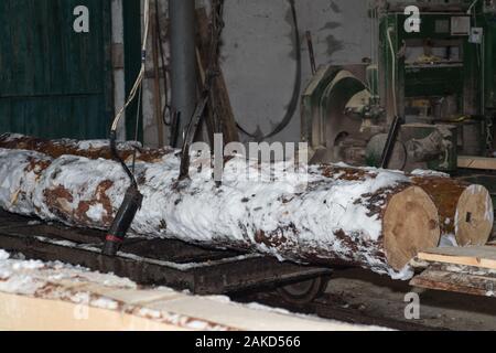 Scierie. Processus d'usinage sciage dans l'équipement de scierie scies scie machine le tronc de l'arbre . La sciure de bois de sciage du bois Travail du Bois Bois Bois Bois. Banque D'Images