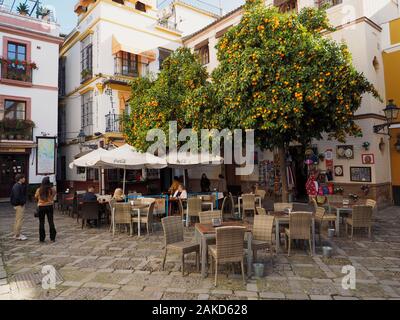 Petite place dans le centre historique de Séville, avec des orangers. Séville, Andalousie, Espagne Banque D'Images