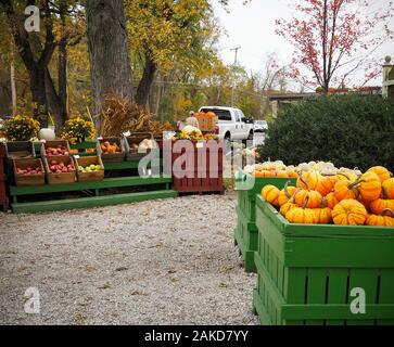 Les pommes, courges, des chrysanthèmes, et d'autres les cultures d'automne sont en vente dans de grandes caisses en bois et peint à côté d'un des bacs instersection rural occupé sur une O Banque D'Images