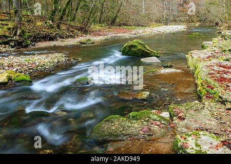 River dans la Gorge de Wutach Wutach, Forêt Noire, Bade-Wurtemberg, Allemagne Banque D'Images