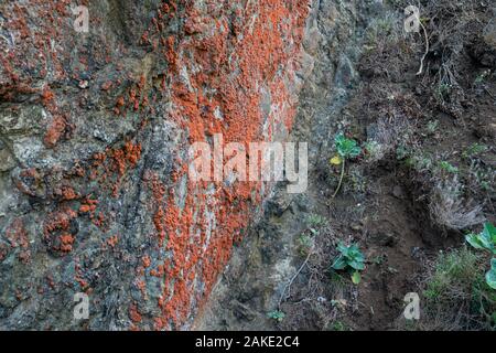 Les taches de rouille sur le flanc d'une montagne falaise de roche Banque D'Images