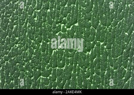 Mur de plâtre ciment vénitien vert arrière-plan. Close up. Banque D'Images