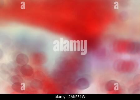 De nombreuses bactéries blured close up sous le microscope. Abstract Banque D'Images
