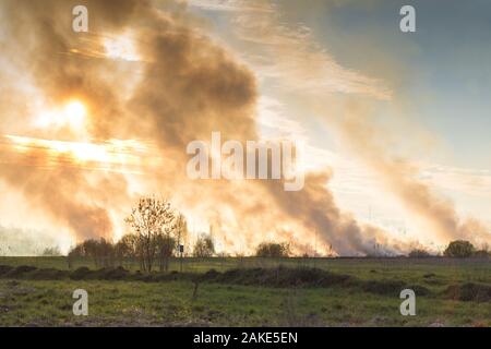 Les incendies de forêt et de steppe sèche complètement détruire les champs et les steppes au cours d'une grave sécheresse. Apporte des catastrophes les dommages infligés à la nature ordinaire et de l'économie de Banque D'Images