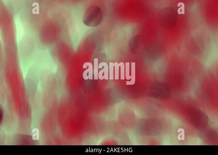 De nombreuses bactéries blured close up sous le microscope. Abstract Banque D'Images