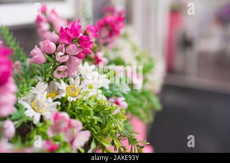 Pot de fleurs avec des fleurs magenta accrocher sur la rue Banque D'Images