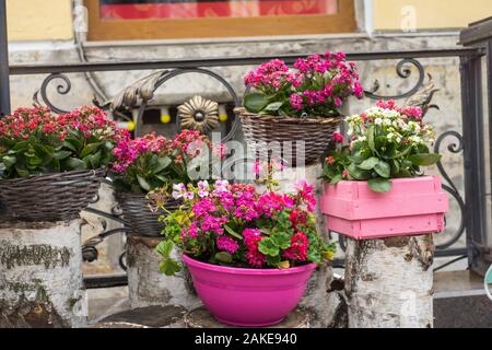 Pot de fleurs avec des fleurs magenta accrocher sur la rue Banque D'Images