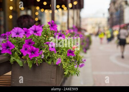 Pot de fleurs avec des fleurs magenta accrocher sur la rue Banque D'Images