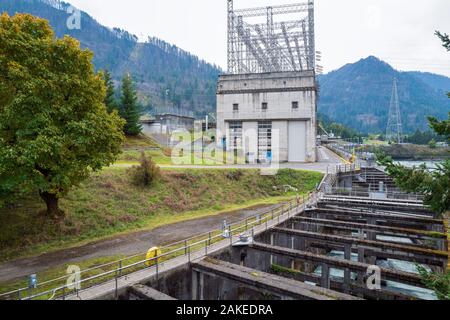 La Passe à poissons au barrage de Bonneville, une centrale électrique, Cascade Locks, Oregon, USA Banque D'Images