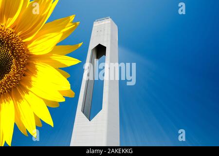 Le tournesol à côté de la PS20, la tour solaire thermique tels que tour solaire de travail en ce moment dans le monde. Sanlucar La Mayor, Andalousie, espagne. Mai 2011 Banque D'Images