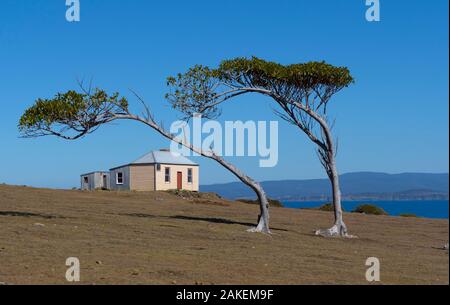 Résidence à partir de 1825, les commandants Maria Island National Park côte est de la Tasmanie, en Australie. Janvier 2018. Banque D'Images