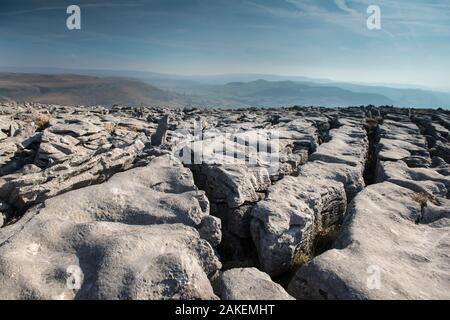 Un Lapiez avec Clints bien développés (blocs) et Grykes (lacunes). Il s'agit de calcaire carbonifère, partie d'une vaste zone de Karst Austwick ci-dessus, le Yorkshire, UK. Les précipitations légèrement acide, s'érode et agrandit les joints d'origine naturelle dans la roche calcaire de quitter l'une des caractéristiques de la surface de la chaussée. Février 2018. Banque D'Images