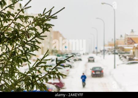 Neige d'hiver, les branches de pin dans le contexte d'une rue enneigée, une voiture et un piéton en bleu se déplacent le long du parking, Banque D'Images