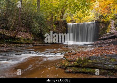 Chute d'automne à Plas Power Woodland, au nord du Pays de Galles, au Royaume-Uni Banque D'Images