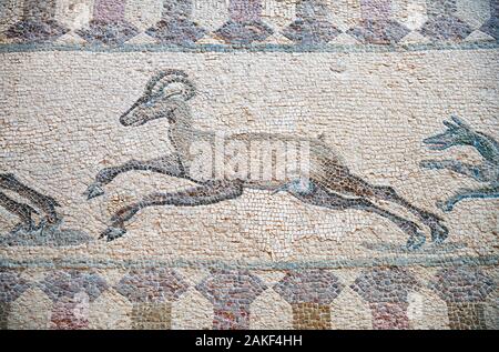 PAPHOS, Chypre - Juin 08, 2018 : Scène de chasse de l'élément de mosaïque représentant l'exécution de chèvre de chiens sur le sol de la villa Dionysos. Archaeolog Paphos Banque D'Images