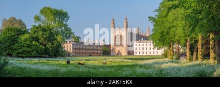 Royaume-uni, Angleterre, Cambridge, Cambridgeshire, le dos, King's College, King's College Chapel Banque D'Images