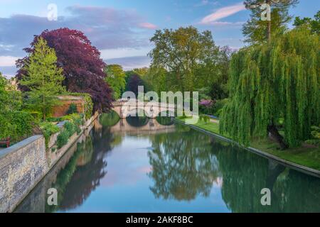 Royaume-uni, Angleterre, Cambridge, Cambridgeshire, le dos, rivière Cam Banque D'Images