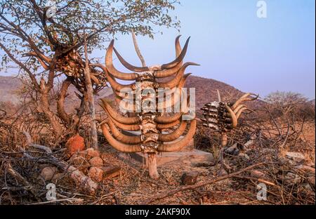 Tombe d'un important chef de clan avec des crânes de bovins abattus sur la tombe de le servir dans l'au-delà. Himba village, Kaokoveld, Namibie, Afrique Banque D'Images