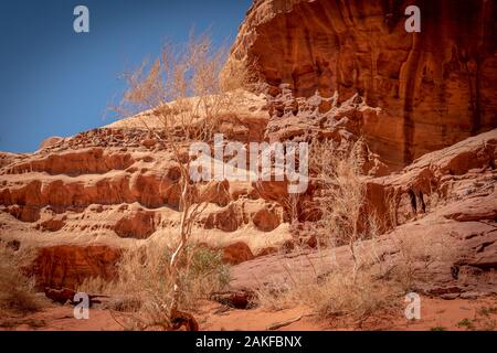 Abu Khashaba canyon au désert de Wadi Rum en Jordanie Banque D'Images