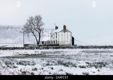 Forest-en-Teesdale, comté de Durham, Royaume-Uni. 9e janvier 2020. Météo britannique. Snow hits des hautes terres à Teesdale et ailleurs dans les North Pennines. Crédit : David Forster/Alamy Live News Banque D'Images