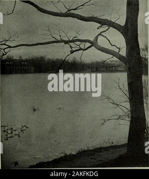 L'Américain de la photographie annuelle . La Figure I. haut de la titulaire. Percer un trou pour prendre une machine 3/16 in.^ tordues. En partant de la fin. Fixer le pan de bois avec un boulon avec thehead sur le dessus de la casserole, à l'aide d'un screwabout^ j machine head in. de long, et de diamètre 3/16 in.. Un verysnug ce faire mettre en place. La moitié inférieure de l'angle est utilisée pour le fixer dans un musicstand. Découper une fente sur un côté de l'angle de deux pouces de theend, yi in., et plein de 3/16 po, et un trou d'une vis à métaux 3/16 in. sur le côté opposé en ligne avec l'emplacement.Next Sécuriser une machine 3/16 in. vis d'environ 2 po de longueur Banque D'Images