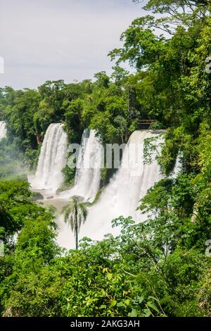 Cascades et jungle - une vue depuis le haut de la route au Parc National d'Iguazu (Puerto Iguazu, Argentine) Banque D'Images