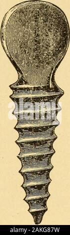 Anaesthesia anaesthetics et général et local . Fig. 9.- langue Mathieus forceps. Fig. 8.-PlainOral vis. Banque D'Images