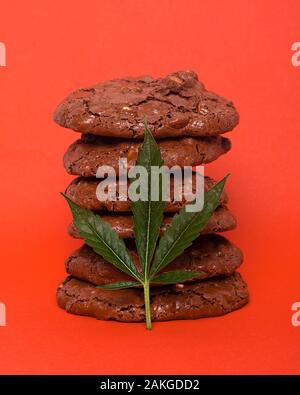 Les cookies de cannabis sur fond rouge et feuille de chanvre. oatmeal cookies avec des cacahuètes. Banque D'Images