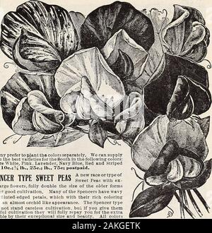 Hastings' seeds : printemps 1912 catalogue . Hastings* Pois mixte Splendens Sauge écarlate ou