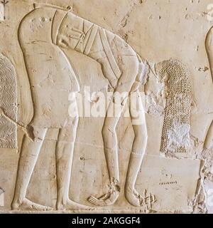 Luxor en Egypte, Assassif (partie de la vallée des Nobles), tombe de Kheruef : danseuse acrobatique féminine. Banque D'Images