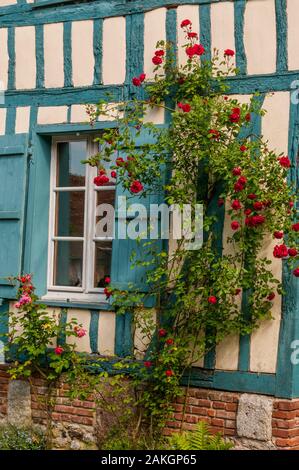 La France, l'Oise, Gerberoy, classé Plus Beaux Villages de France, ses maisons des xviie et xviiie siècles, faite de bois et s/n ou briques et silex, Gerberoy faire un lieu unique de marcher au printemps et en été, les rosiers grimpants sur les façades de transformer la ville en un véritable jardin de roses Banque D'Images