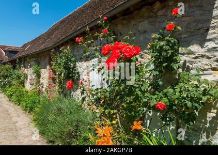 La France, l'Oise, Gerberoy, classé Plus Beaux Villages de France, ses maisons des xviie et xviiie siècles, faite de bois et s/n ou briques et silex, Gerberoy faire un lieu unique de marcher au printemps et en été, les rosiers grimpants sur les façades de transformer la ville en un véritable jardin de roses Banque D'Images