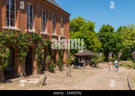 La France, l'Oise, Gerberoy, classé Plus Beaux Villages de France, ses maisons des xviie et xviiie siècles, faite de bois et s/n ou briques et silex, Gerberoy faire un lieu unique de marcher au printemps et en été, les rosiers grimpants sur les façades de transformer la ville en un véritable jardin de roses Banque D'Images