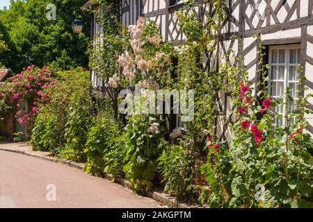 La France, l'Oise, Gerberoy, classé Plus Beaux Villages de France, ses maisons des xviie et xviiie siècles, faite de bois et s/n ou briques et silex, Gerberoy faire un lieu unique de marcher au printemps et en été, les rosiers grimpants sur les façades de transformer la ville en un véritable jardin de roses Banque D'Images