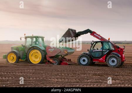 France, Somme, Vironchaux, plantation de pommes de terre dans un champ, les plantes sont arrosées de produits phytosanitaires qui leur donne cette couleur verte Banque D'Images