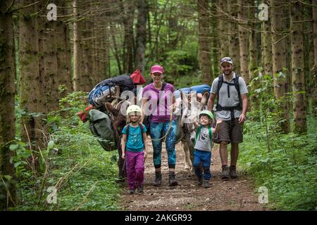 France, Jura, Prenovel, randonnée avec un âne dans la forêt du Jura Banque D'Images