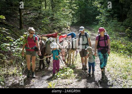 France, Jura, Prenovel, randonnée avec un âne dans la forêt du Jura Banque D'Images