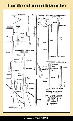 Froid et les armes à feu arme utilisée au 19ème siècle, illustré lexique italien table avec sabres, fusils, pistolets, baïonnettes et fusils de cavalerie Banque D'Images