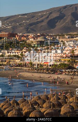 L'Espagne, Iles Canaries, Tenerife, Playa de Las Americas, Playa de Torviscas, plage Banque D'Images