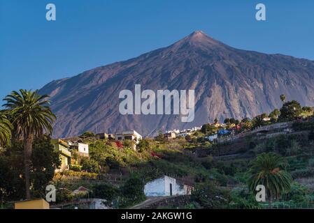 L'Espagne, Iles Canaries, Tenerife Island, Zahara de los Atunes, vue sur la montagne Teide Banque D'Images