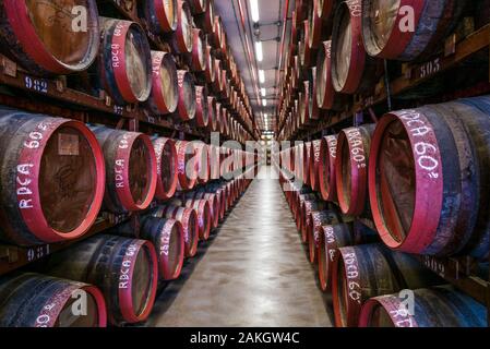 Espagne, Canaries, Gran Canaria Island, Arucas, Destilerias distillerie de rhum Arehucas exécuter, le vieillissement en fûts de chêne Banque D'Images