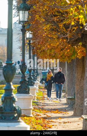 France, Paris, jardin des grands explorateurs en automne Banque D'Images