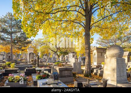 France, Paris, le cimetière Montparnasse en automne Banque D'Images