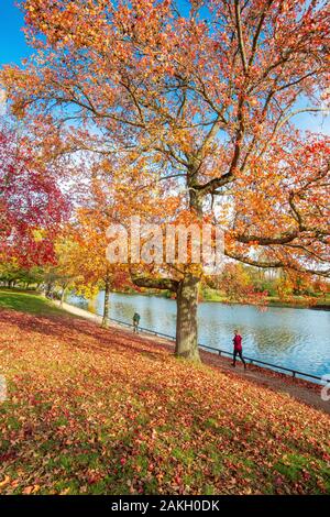 France, Paris, le Bois de Boulogne en automne Banque D'Images